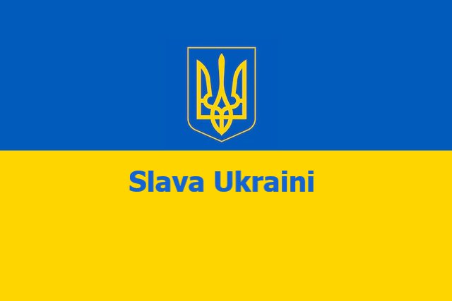 Help Mgeli tweet media