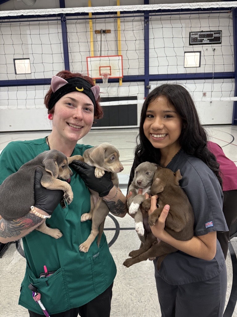 Spay Neuter Network tweet media