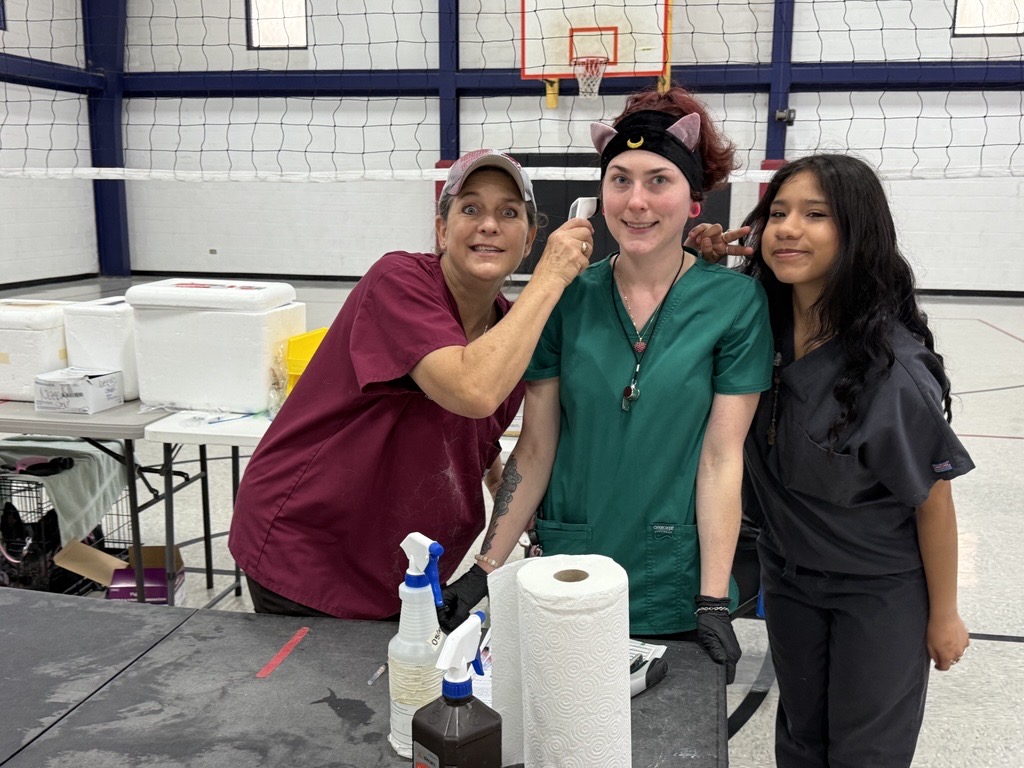 Spay Neuter Network tweet media