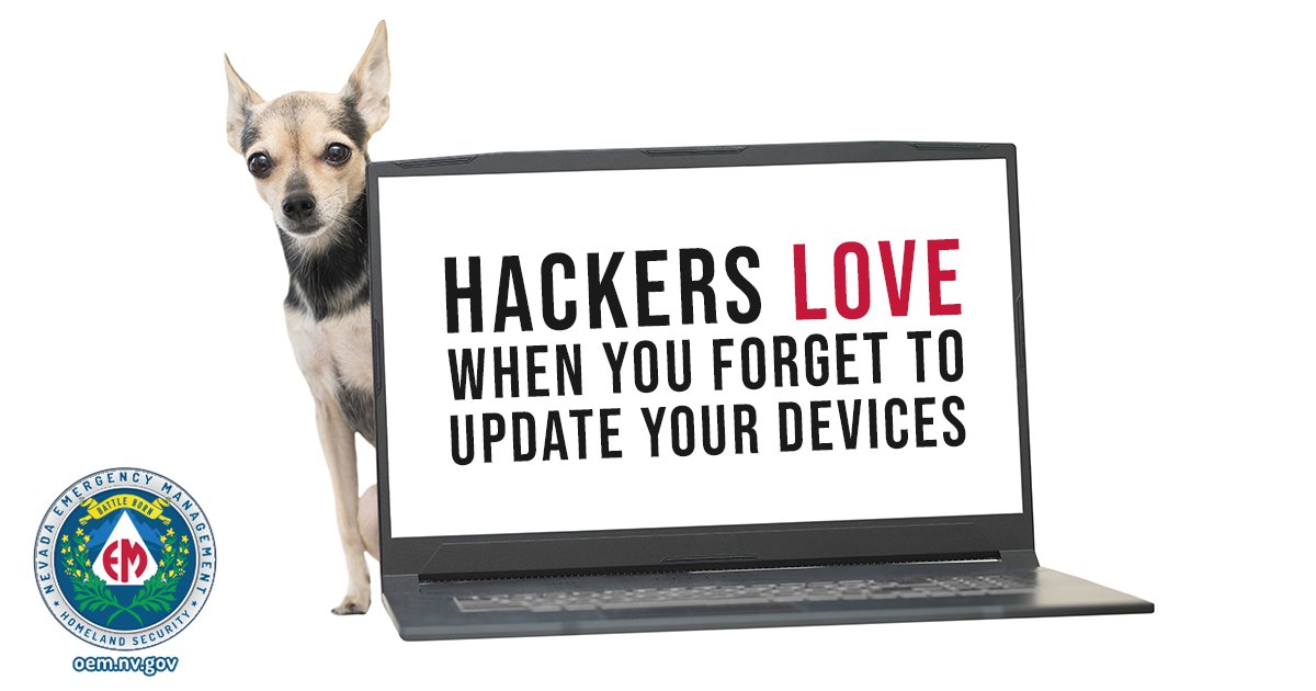 NV Emergency Mgmt tweet media