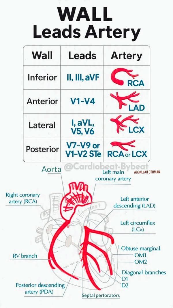 Dr sthanu subramanian tweet media