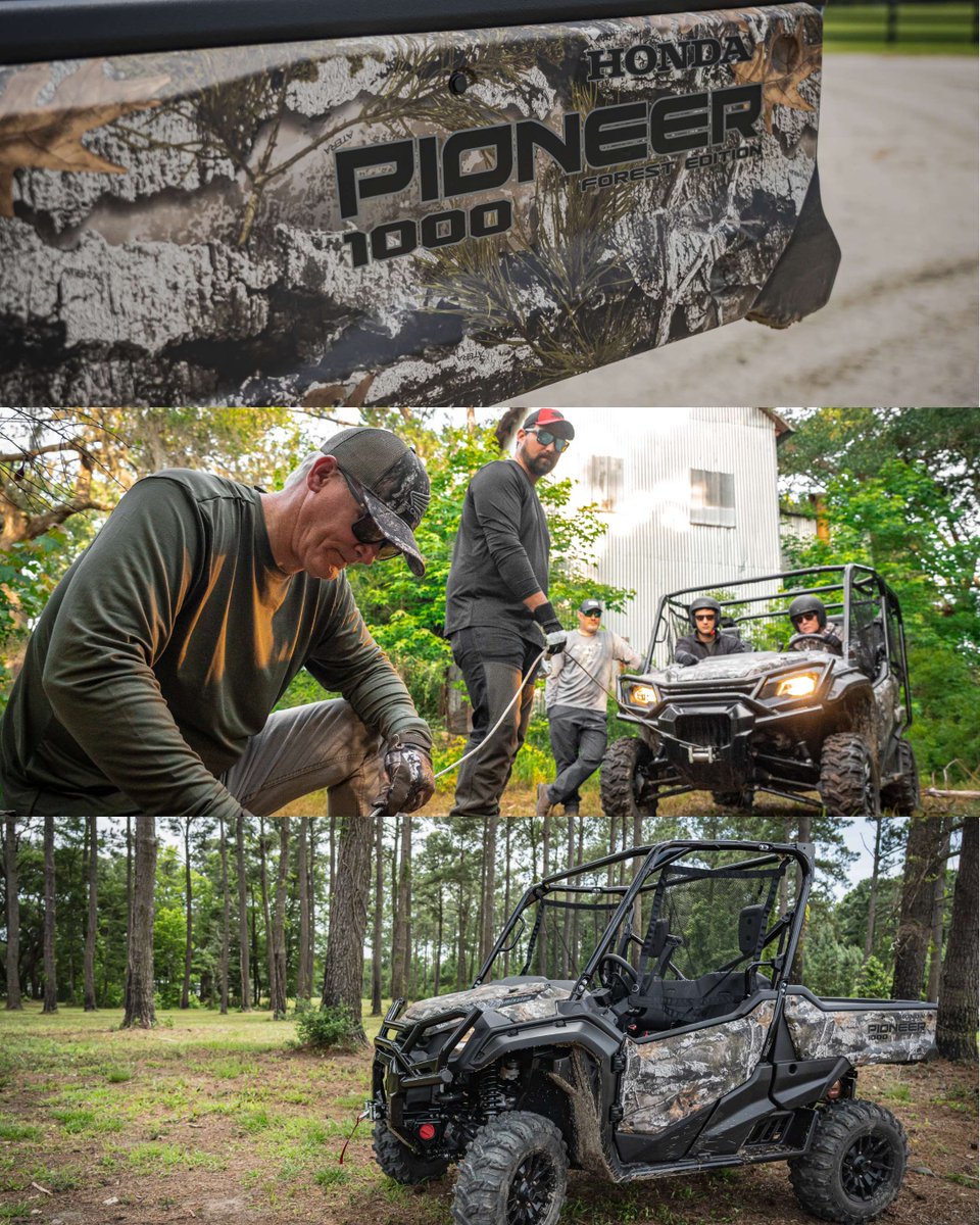 TrueTimber tweet media