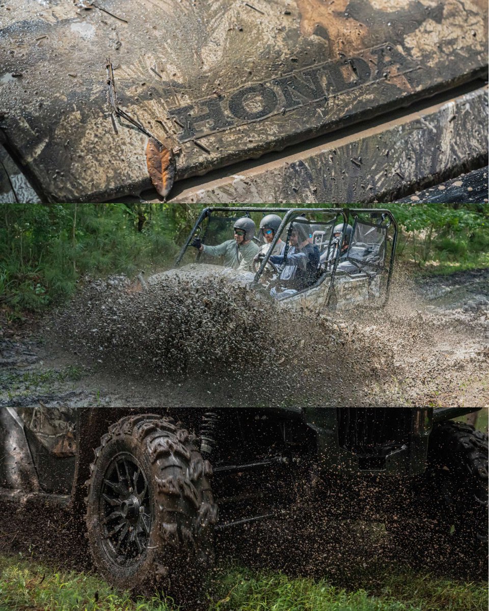 TrueTimber tweet media