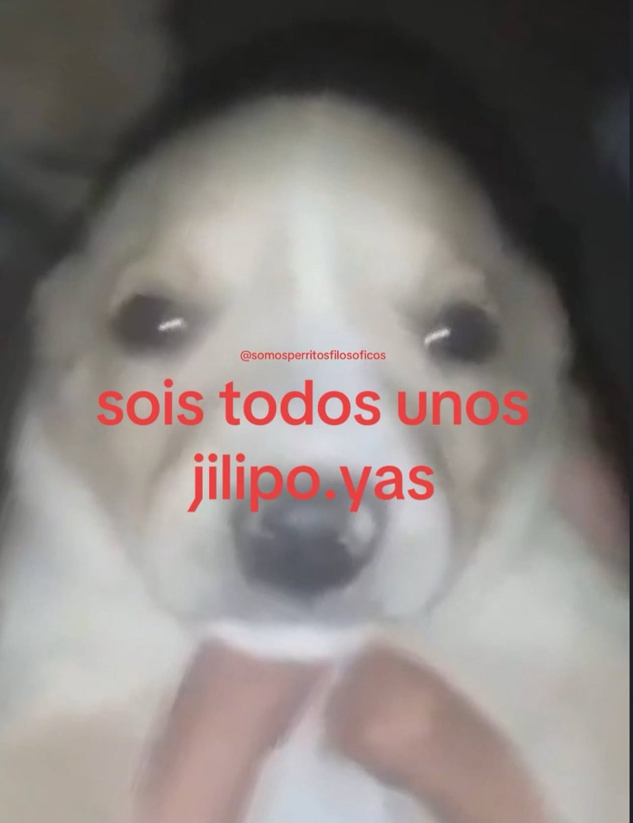 piña sin pizza tweet media