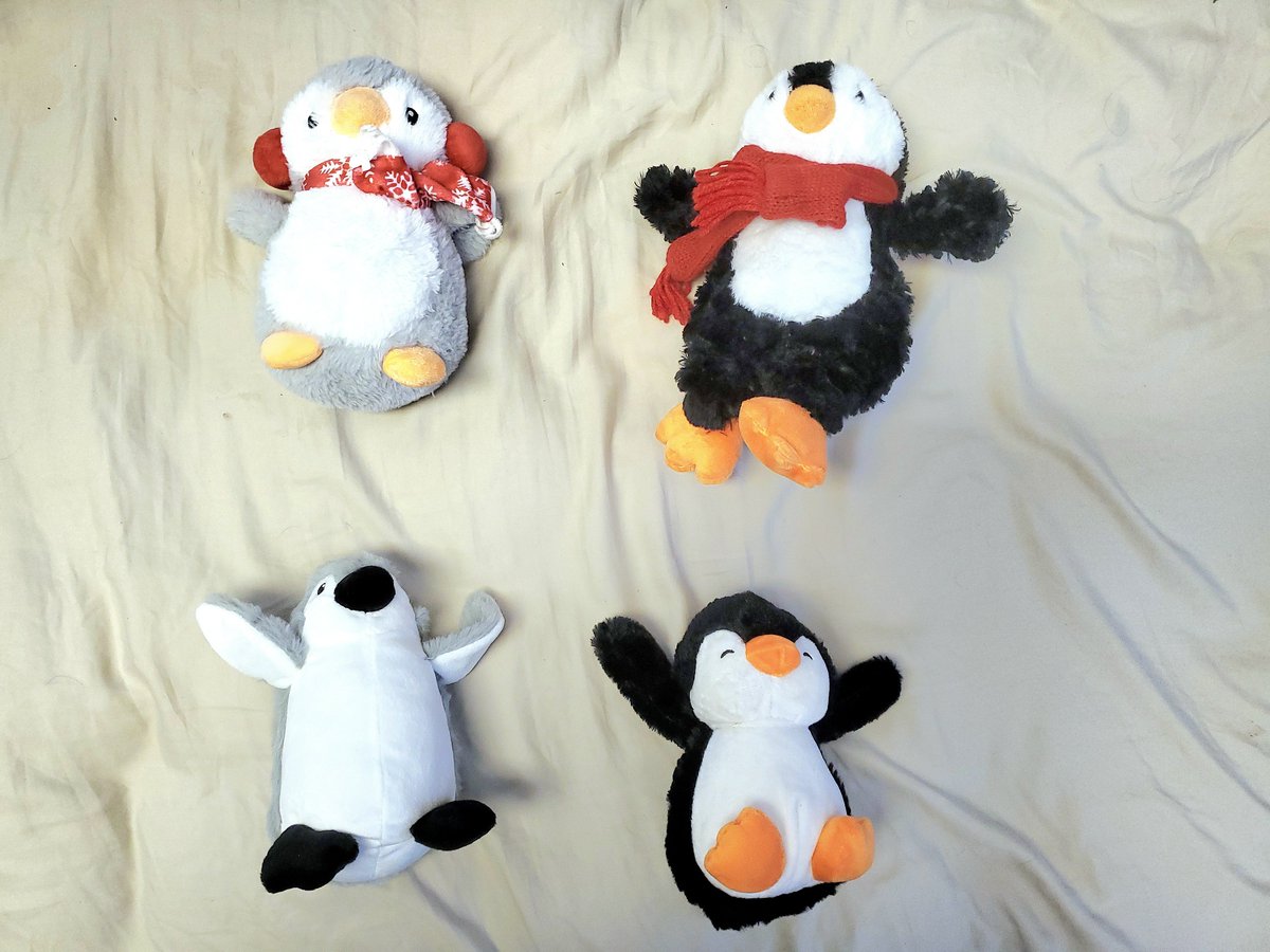 CW Ballard tweet media