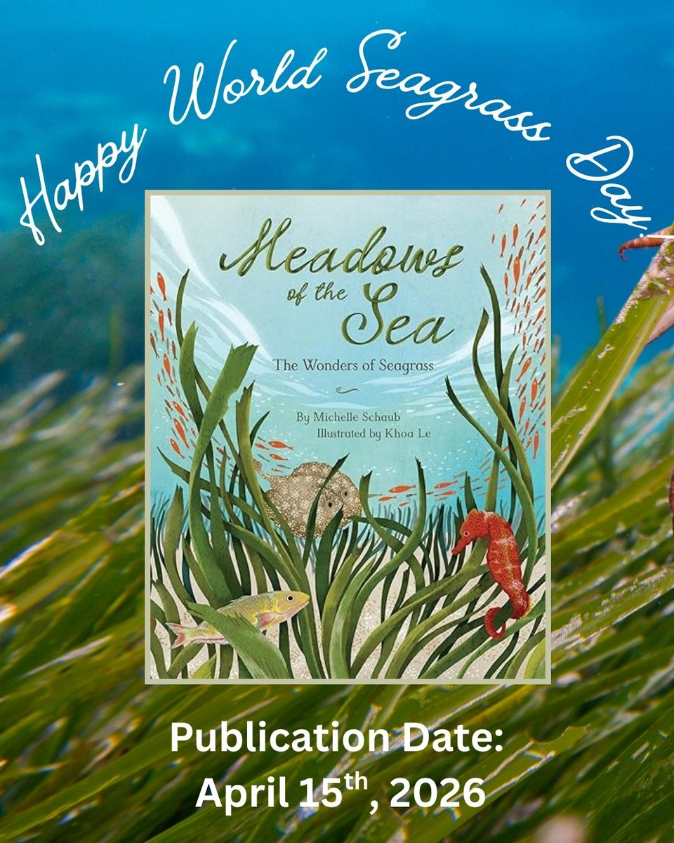 Michelle Schaub tweet media