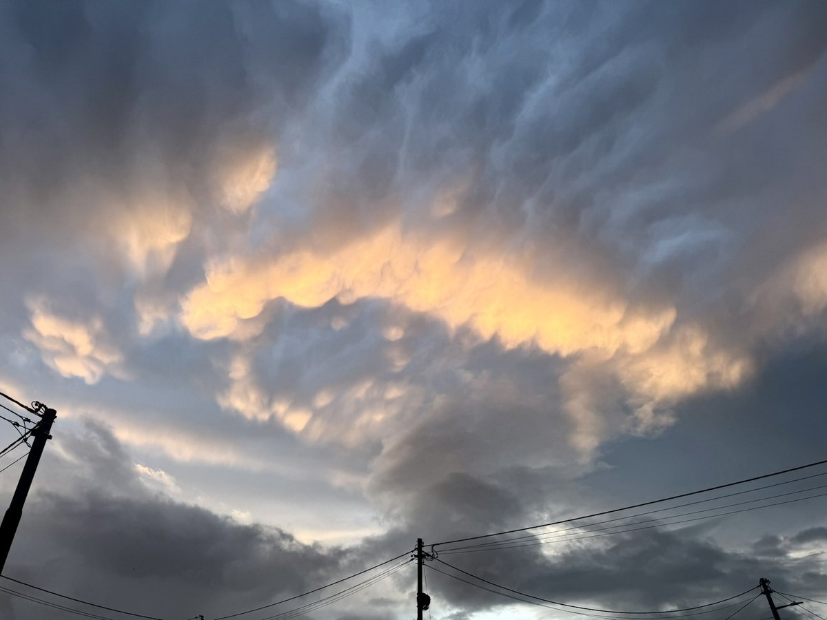 Marc (with a Sea) Diamond tweet media