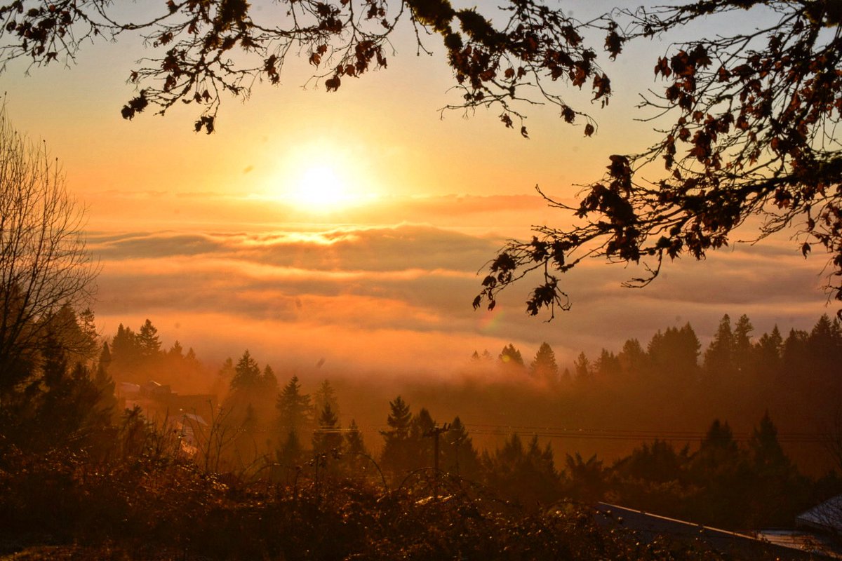MikeKATU's tweet image. PORTLAND FOG… dense fog blanketed the #Portland area Wednesday morning with visibility under 1/4 mile in some spots triggering a dense fog advisory.  Here’s what it looked like above that soupy mess from Pittock Mansion… #LiveOnK2 #fog #foggy