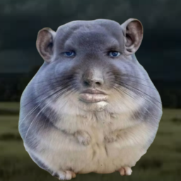 Aped a bag of $CHINCHILLA 

Low cap gamble. I like the meme. I see it all over my page so giving it a try

866EdEsveEWmhXA6Fiy3yT6w5kdW7Z8z9tYWCqcGpump