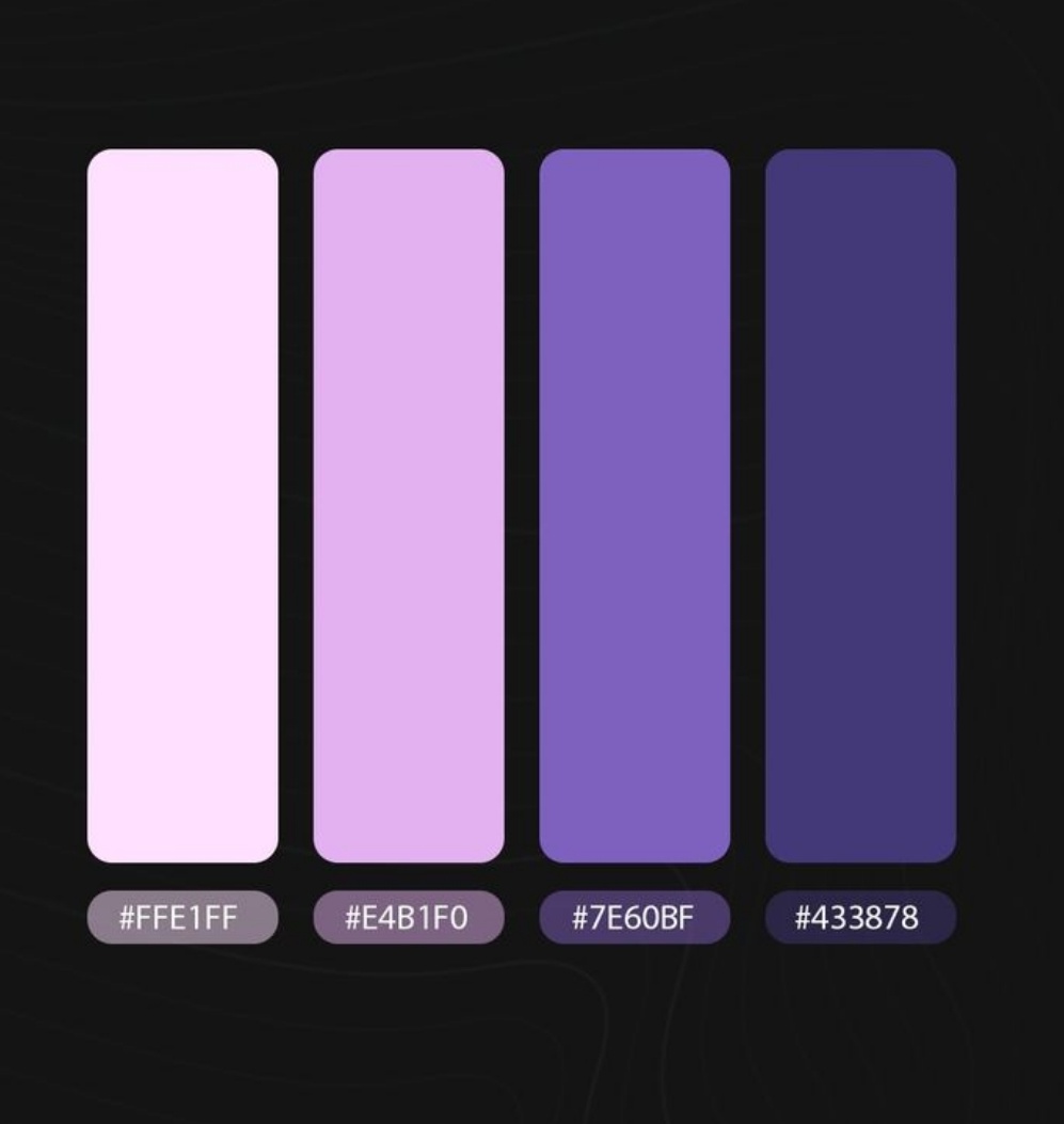 Aya Ahmed|Designer tweet media