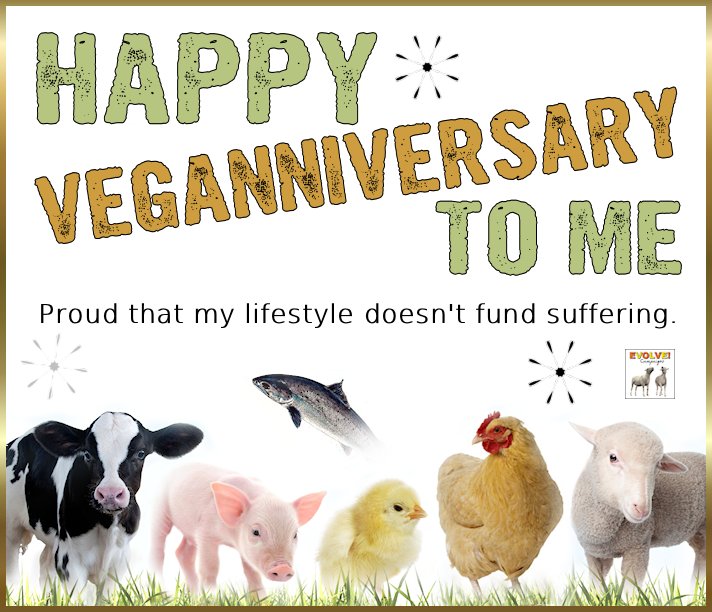 HBKgirl28's tweet image. 10 years ago, I decided to go vegan, 
Happy Vegan Anniversary to me
  #Vegan #veganism #GoVegan