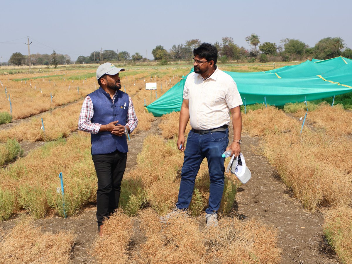 Ashutosh Kumar Yadav tweet media