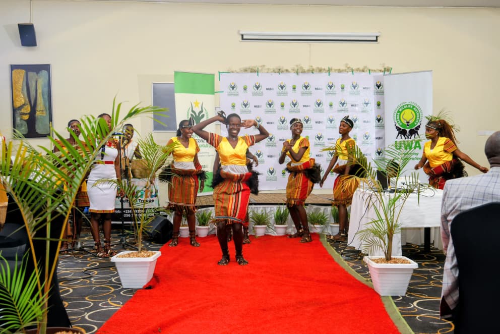 Happening Now…

UWA is hosting the 3rd Edition of the Uganda Conservation Media Awards, celebrating outstanding conservation journalism.

In his remarks, UWA-ED Dr. James Musinguzi applauded the media for spotlighting wildlife crime, human-wildlife conflict, climate change, and
