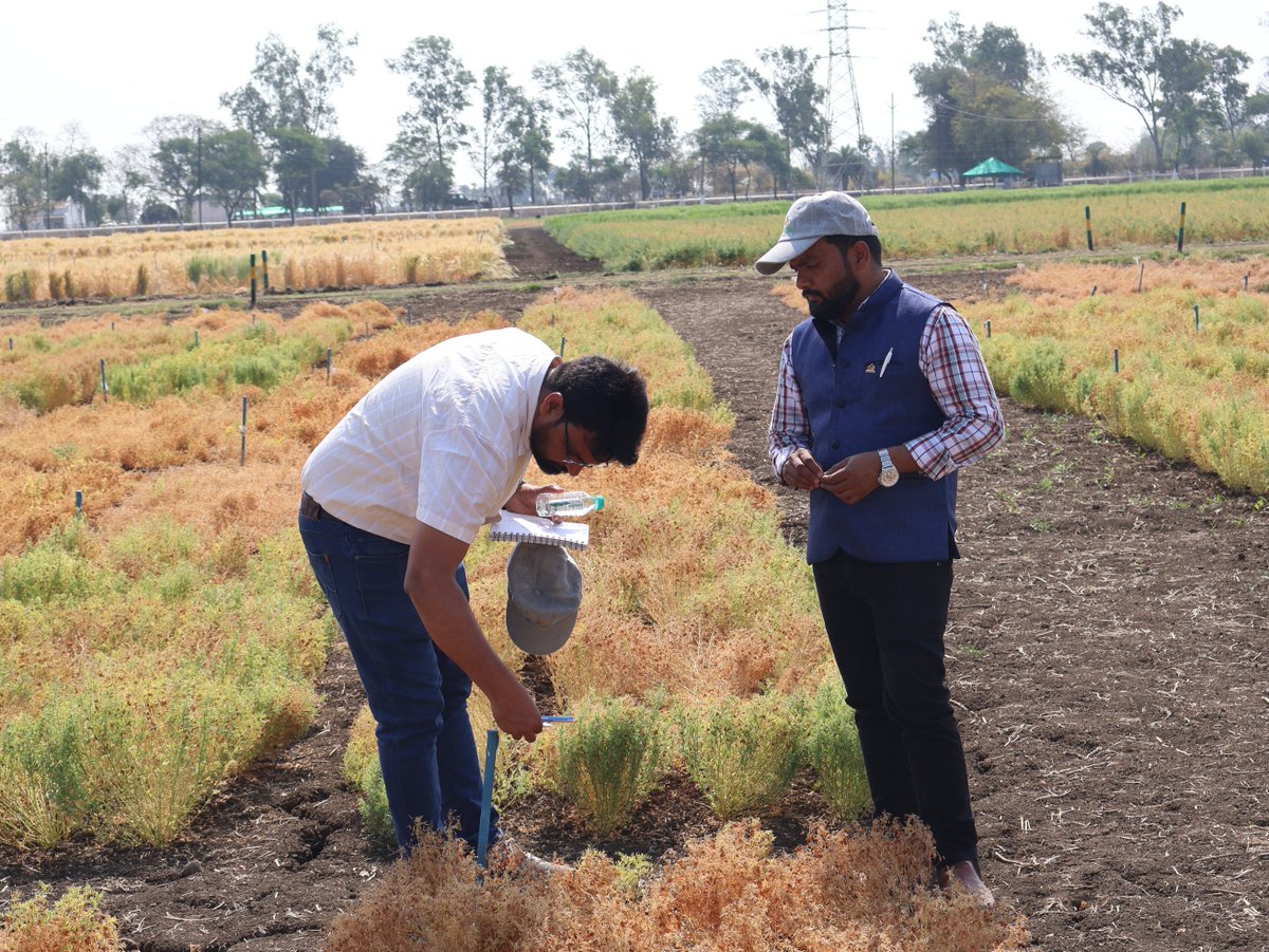 Ashutosh Kumar Yadav tweet media