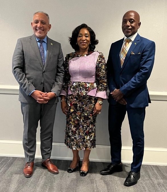 Shirley Botchwey tweet media