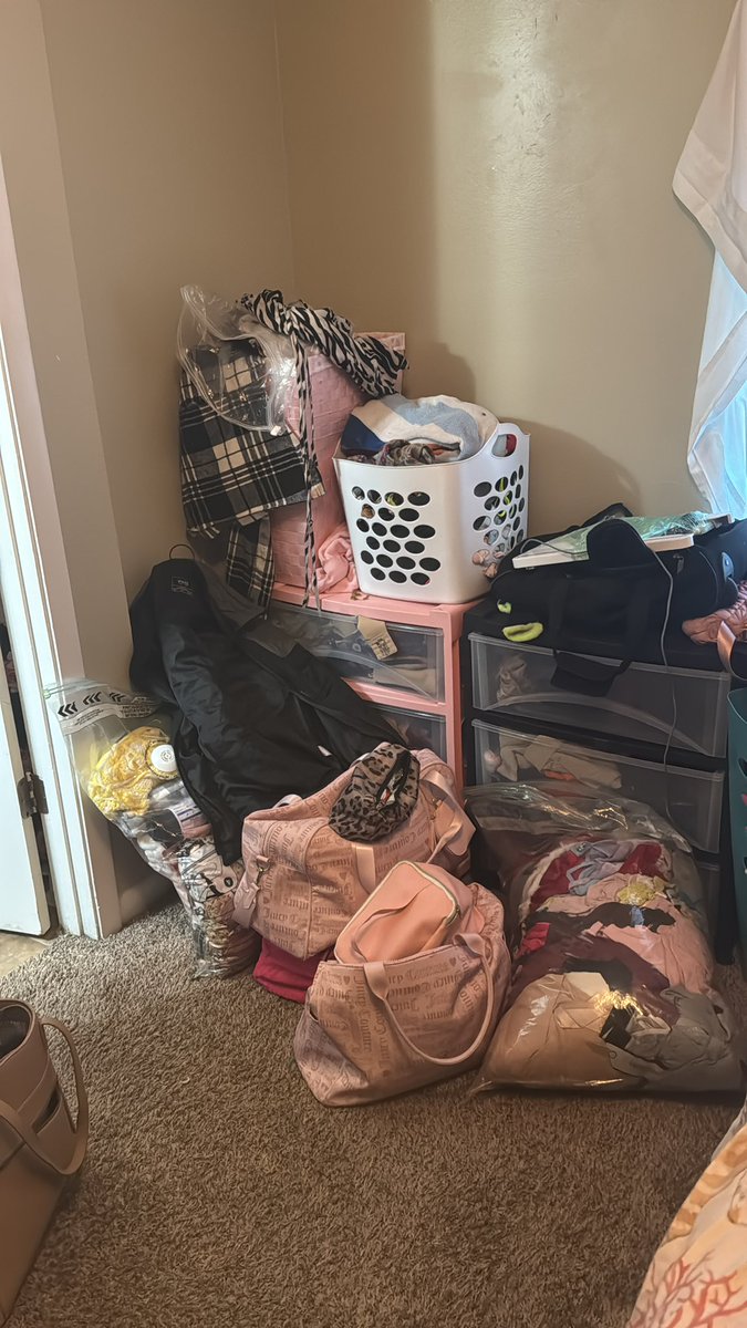 Softi 🥰 tweet media