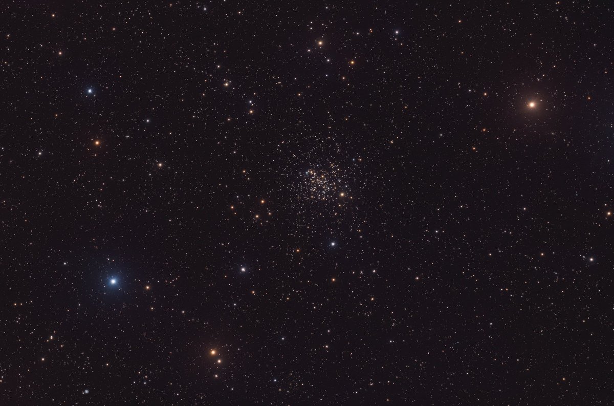 Scotia Astro tweet media