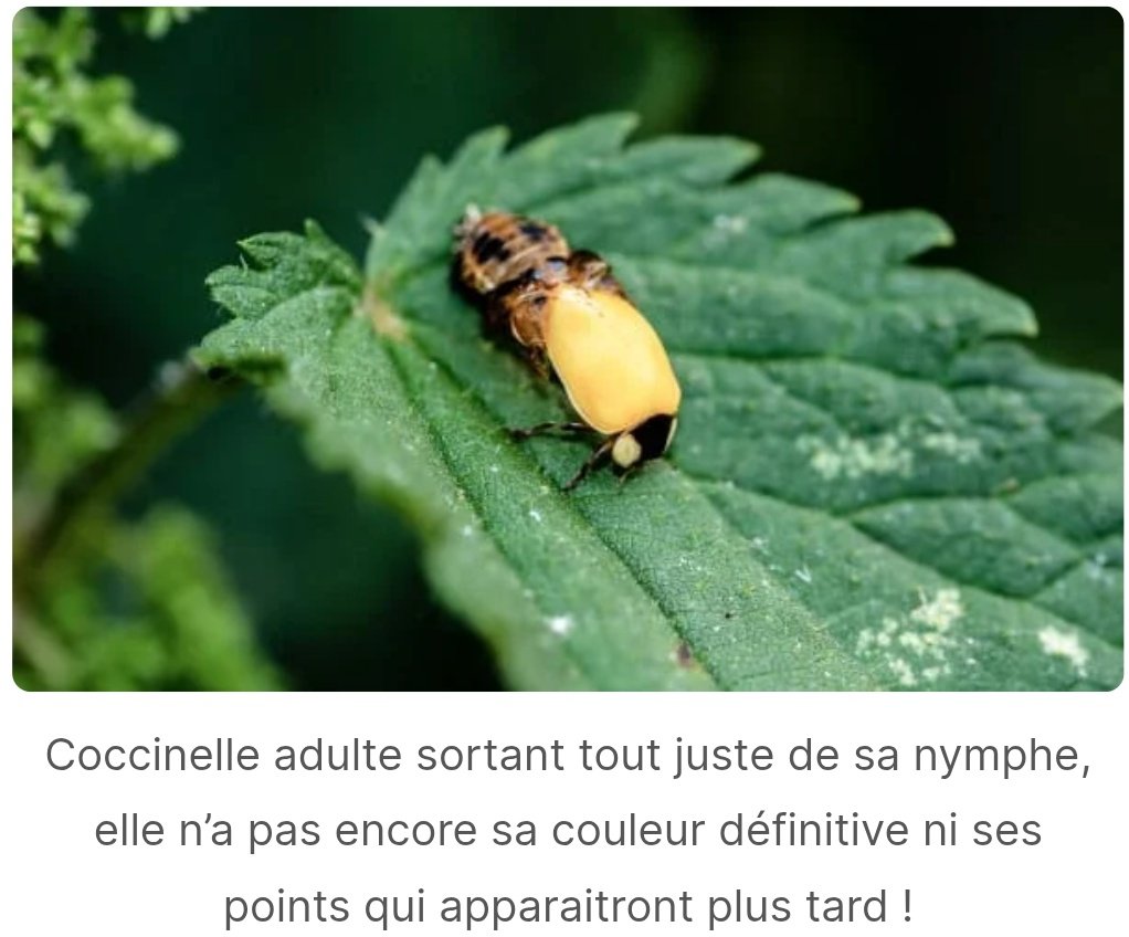 Anti-fascista che ama i 🐈‍⬛ tweet media