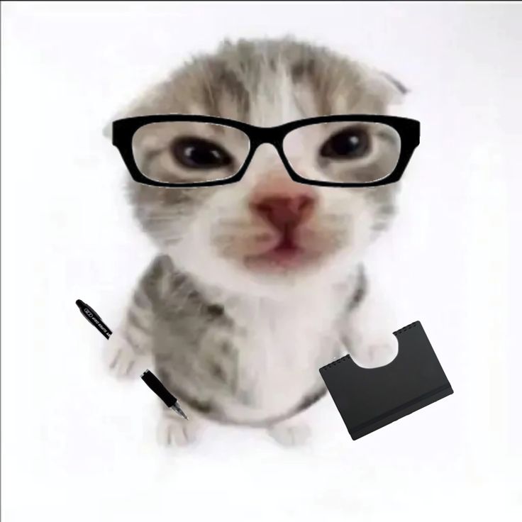 ¿has dedicado alguna canción de bts?