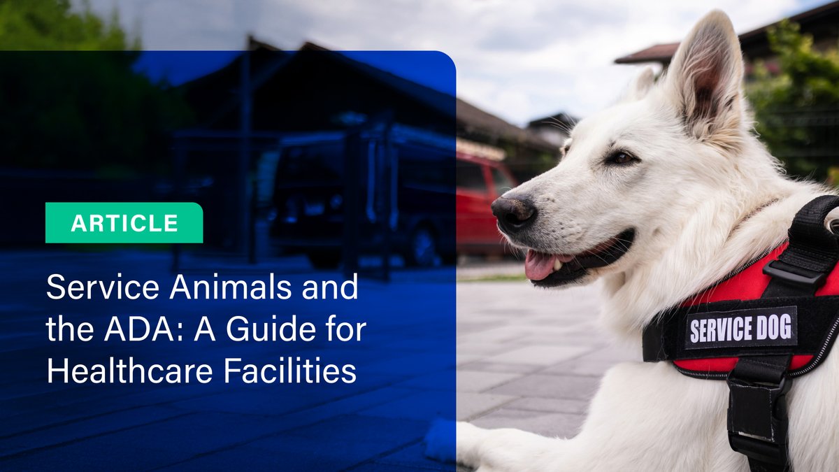 MagMutual tweet media