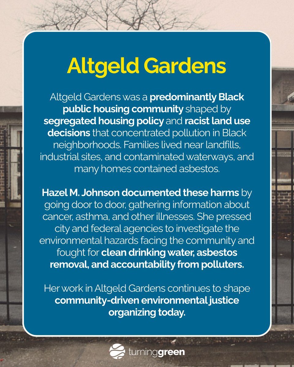 Turning Green tweet media