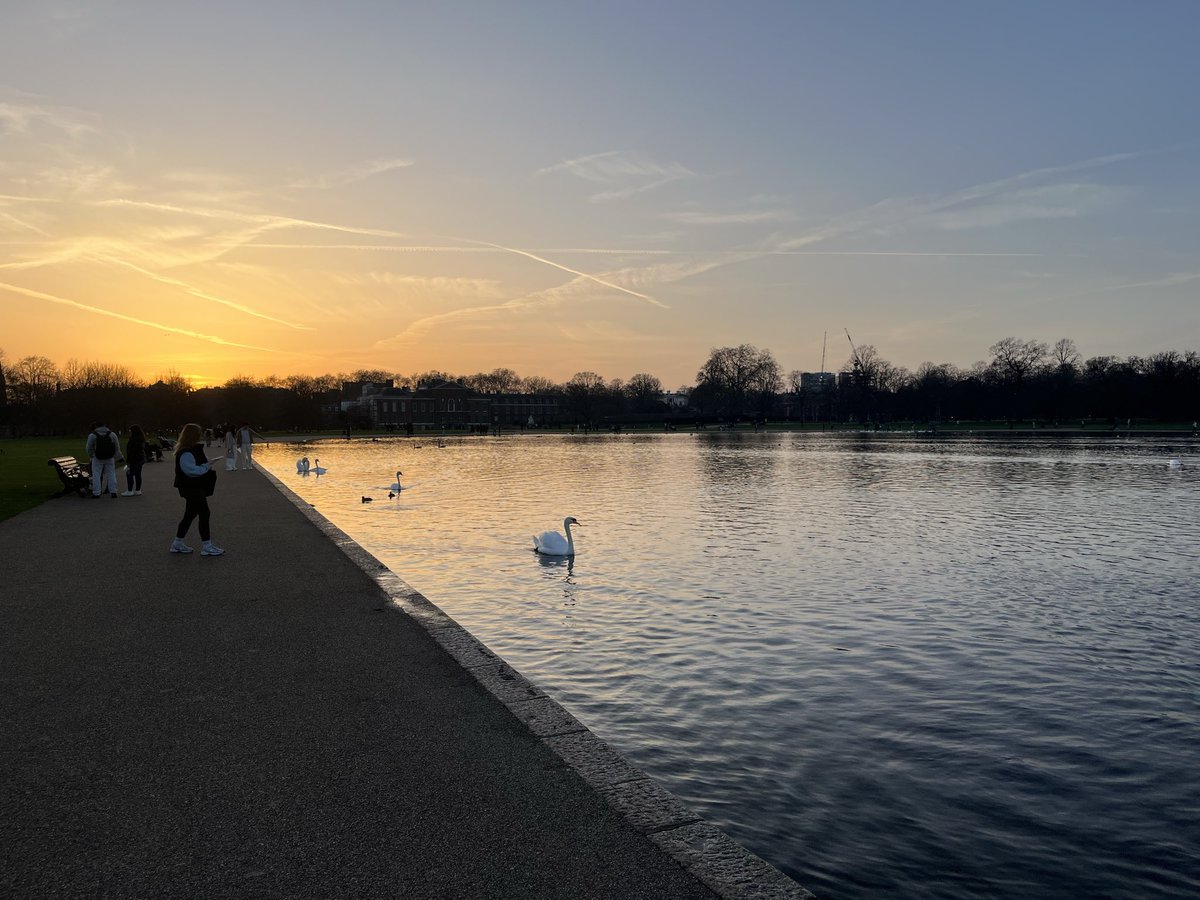 #FreeJoshAcheampong #SellEnzo tweet media