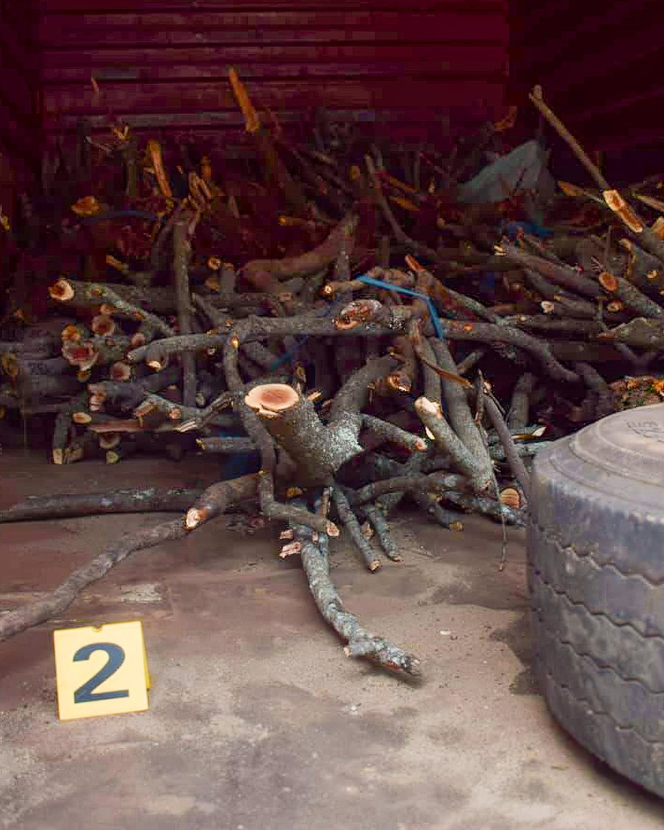 Big Life Foundation tweet media