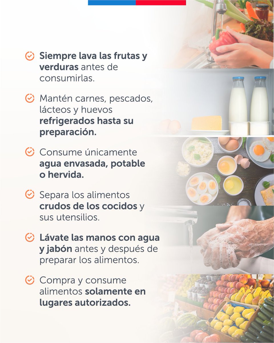 Félix Bulnes tweet media