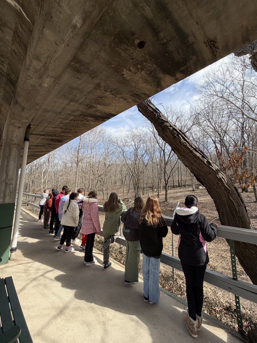 msshreves's tweet photo. Field trip to @STLWolfCenter https://t.co/ZED0xnJpq3