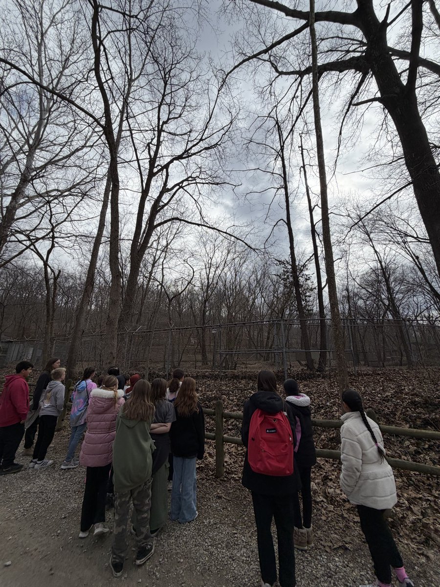 msshreves's tweet photo. Field trip to @STLWolfCenter https://t.co/ZED0xnJpq3