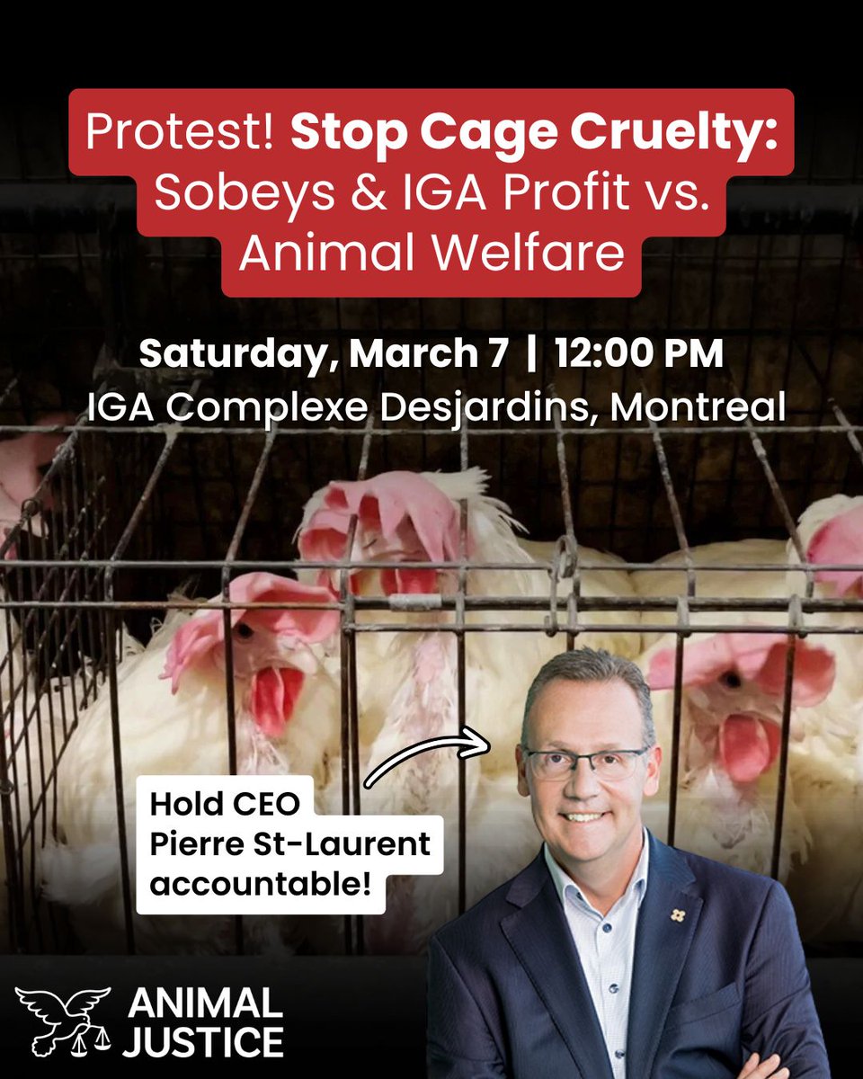Animal Justice tweet media