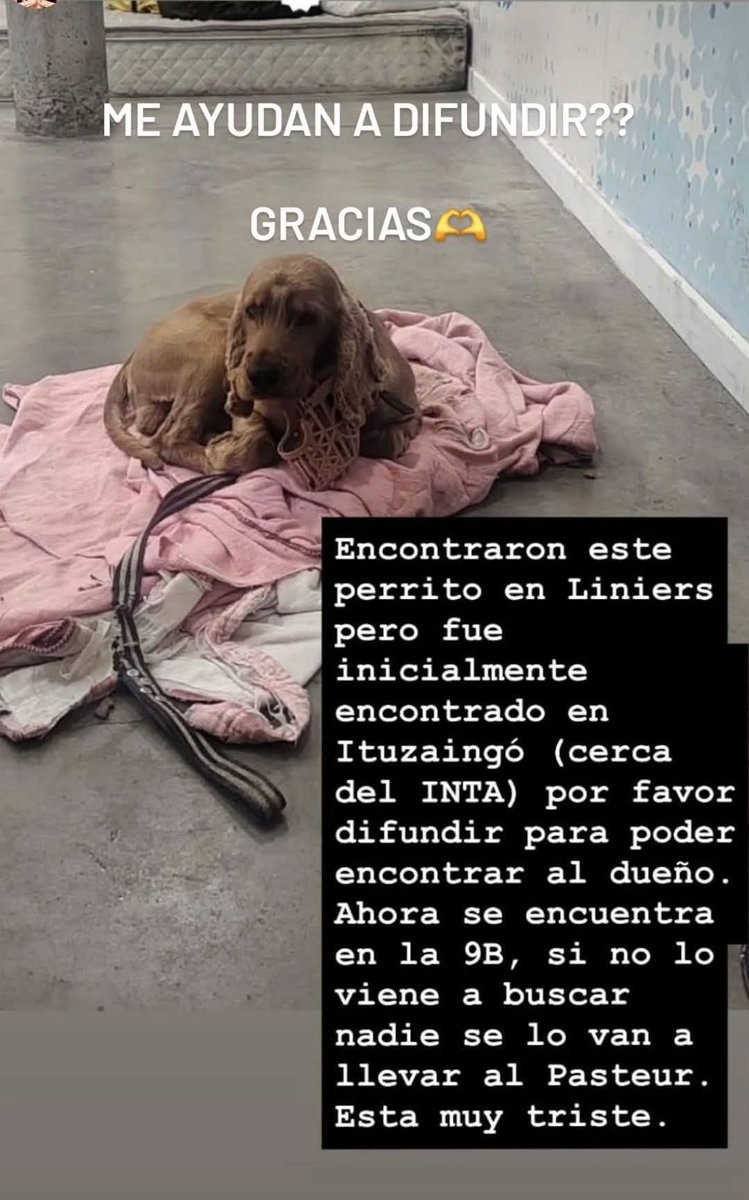 Gaby💛💪🤍💙🤍 (@alyky_gabita) on Twitter photo 