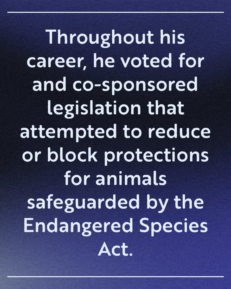 Indigenous Voices of Nevada tweet media