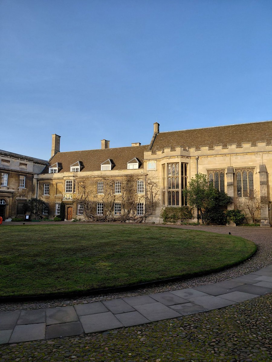 Alexander tweet media