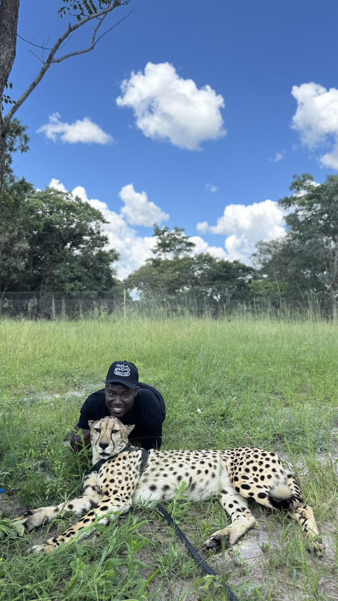 hsafrica_'s tweet photo. Things I had to go through for just one person.
Anyways, I passed the test. I’m alive. 
Thank you Zambia Tourism.

Can we now have Lillian Chipeso as an ambassador for tourism🫩🫩🫩🫩??

You all should go and test your courage at Chaminuka Nature Reserve. 🤓🤓🤓

Your choice. https://t.co/qJ4Jm7NIAJ
