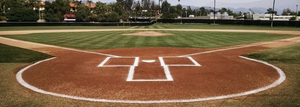 Rogue Baseball Performance tweet media