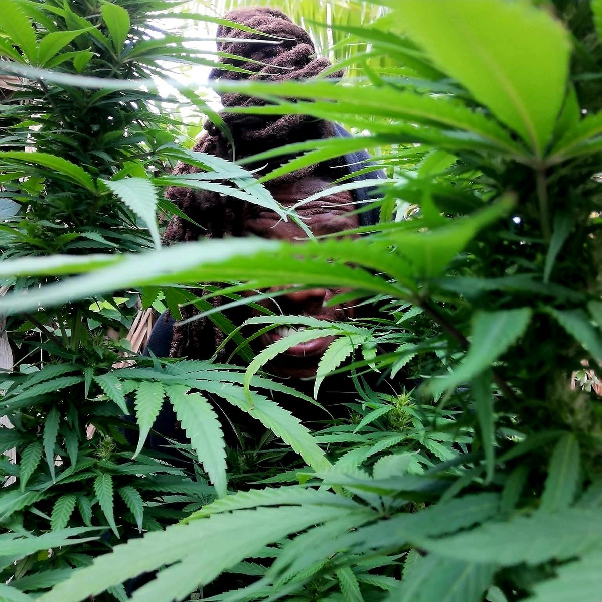 Mackavelibvmss's tweet photo. Happy place 😊🤞🏾🍃🥰 https://t.co/kcAFyxz0cS