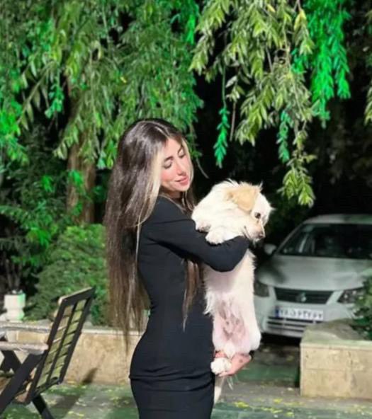 Sanaz Bagheri tweet media