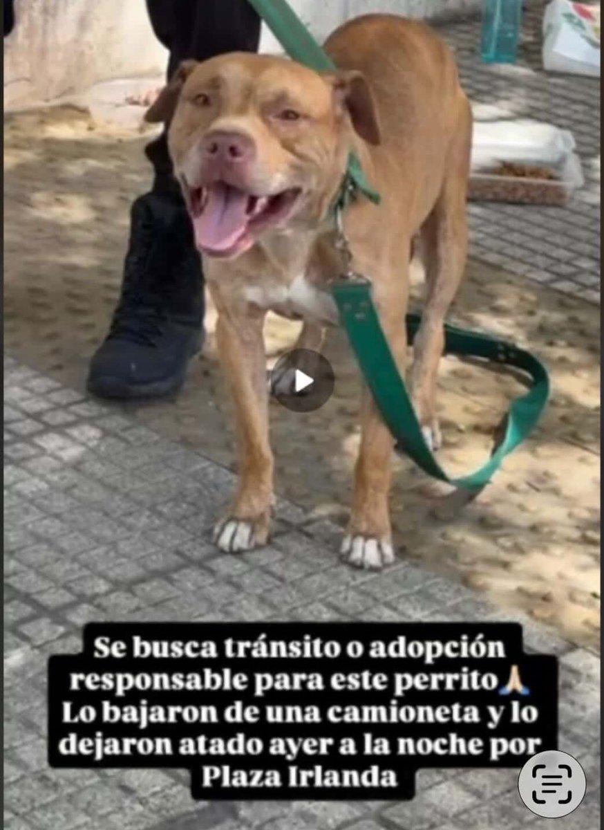 Hechosanderecho's tweet photo. ATENCIÓN #CABA https://t.co/GsWoy3bej8