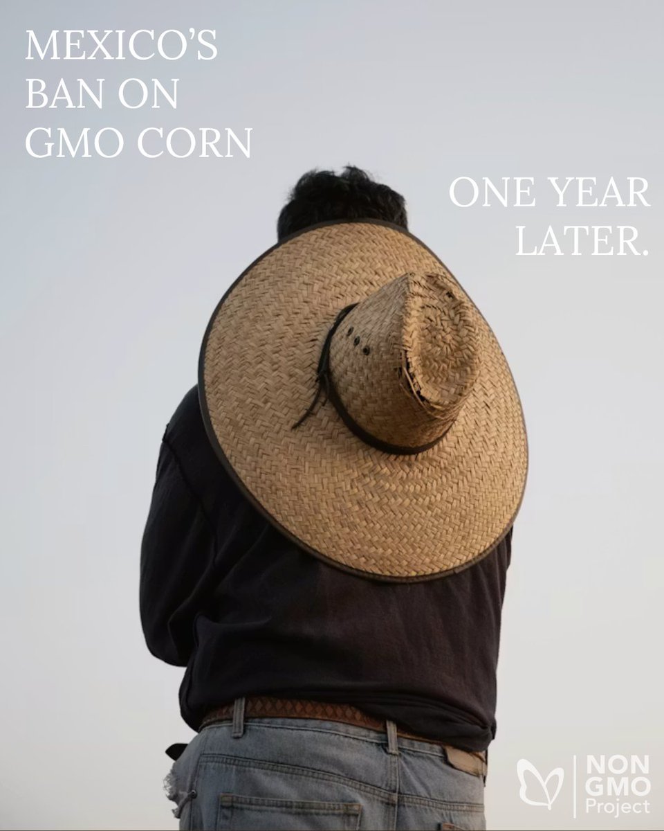 Non-GMO Project tweet media