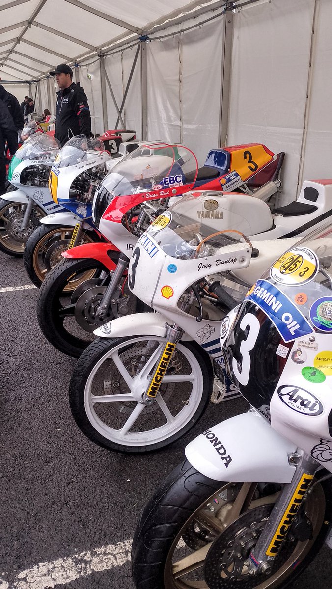 TTabby_TToe tweet media