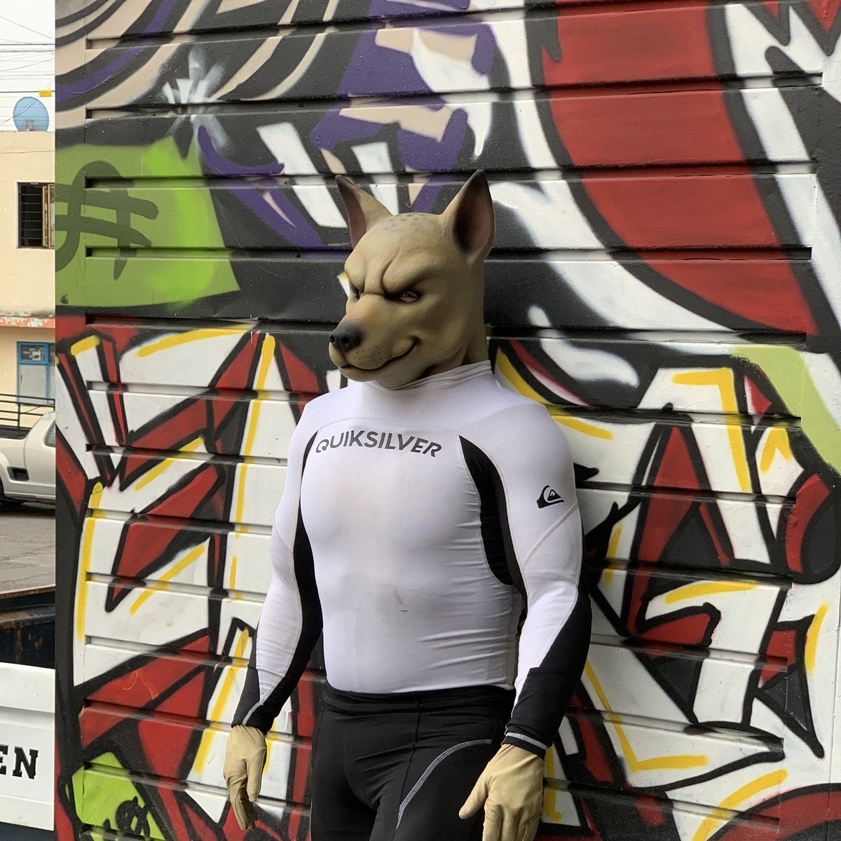 Hello everyone!
I'm Alph, a fursuiter from Puebla City, Mexico! My fursuits are Alph (wolf), Antares (wolf), Aureus (xolo-jackal hybrid), Lu (deer) and Balzer (horse)! 

I also sometimes post suggestive stuff in rubber and spandex so please don't interact if you're underage.