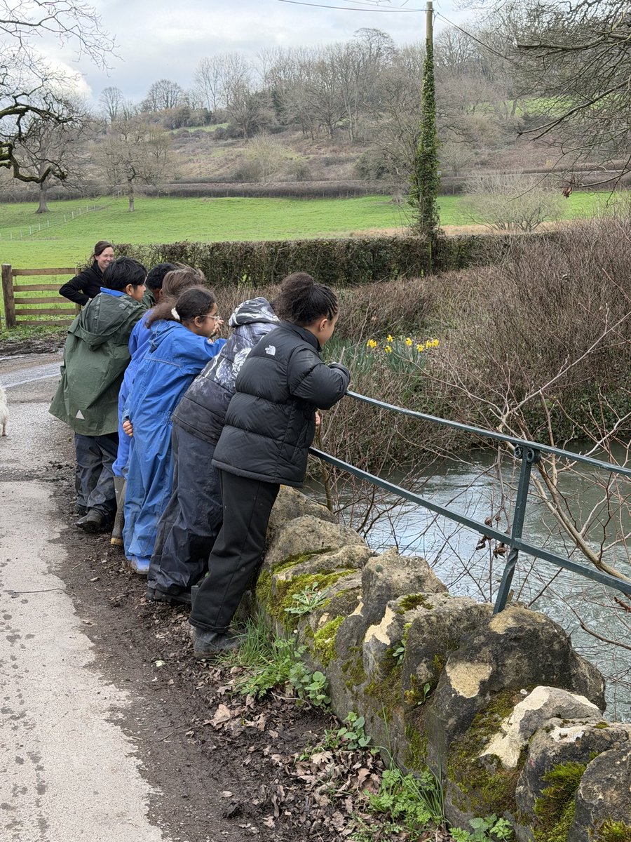 John Burns Primary tweet media