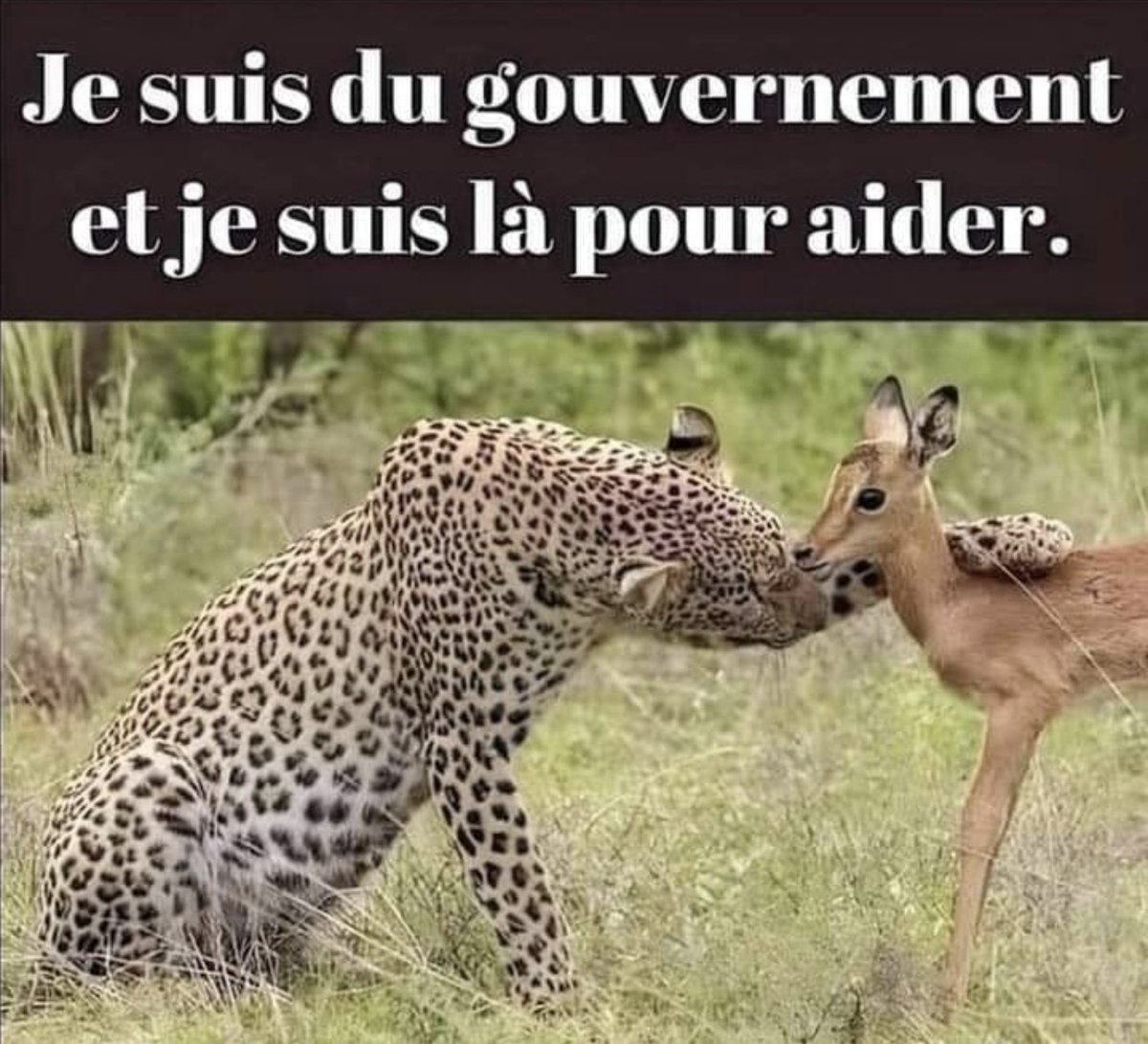 <a href="/michel_denisot/">Michel Denisot</a> :)