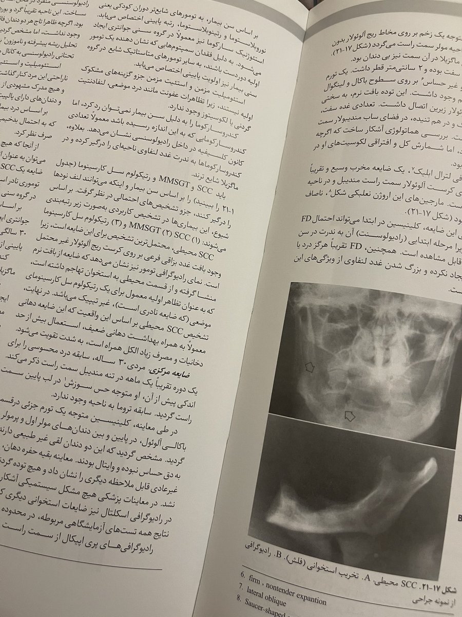 راحیل tweet media