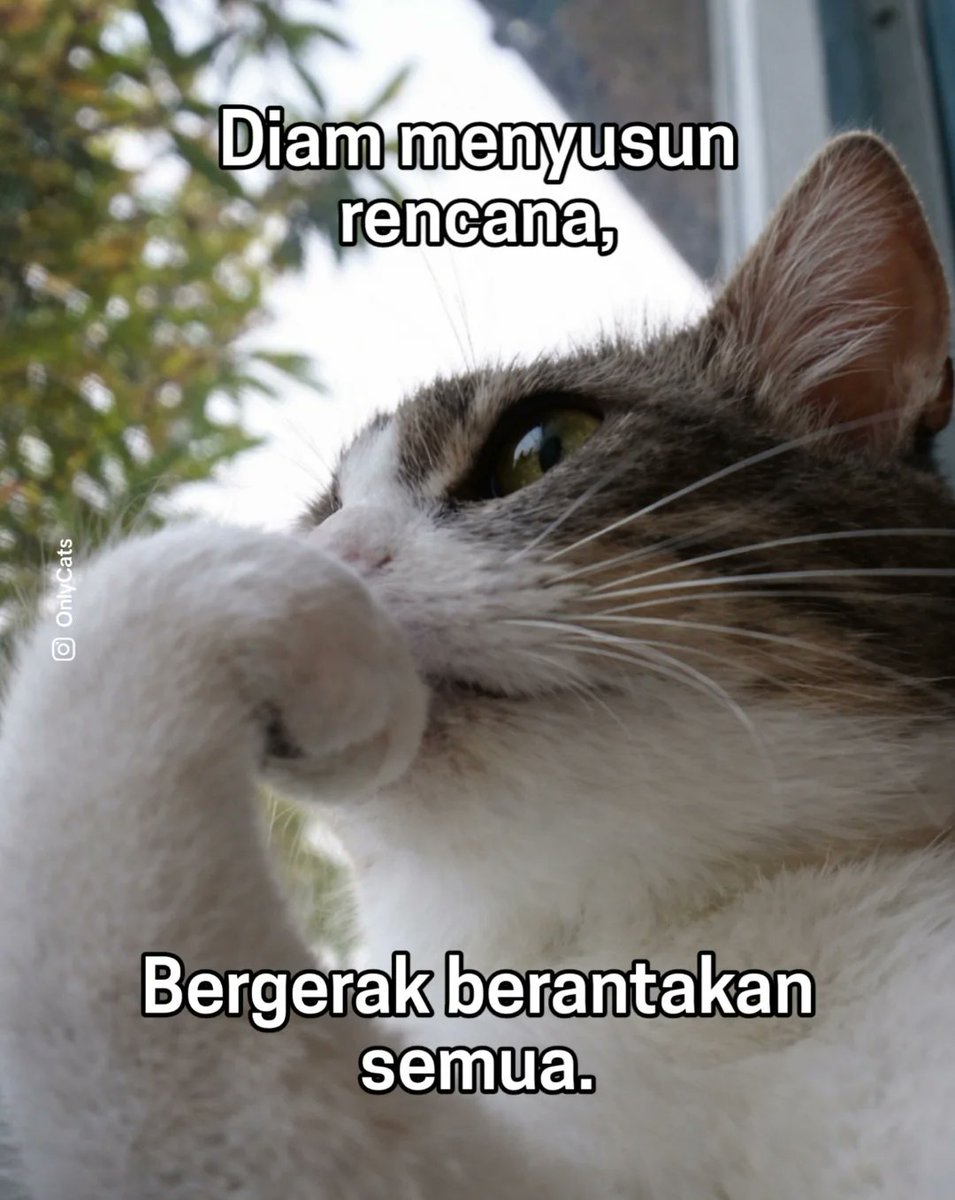 Rizky Febriawan tweet media