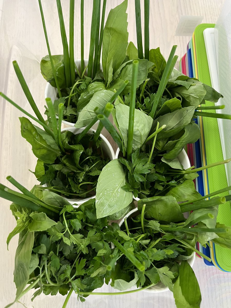 Apple of my Eye HQ tweet media