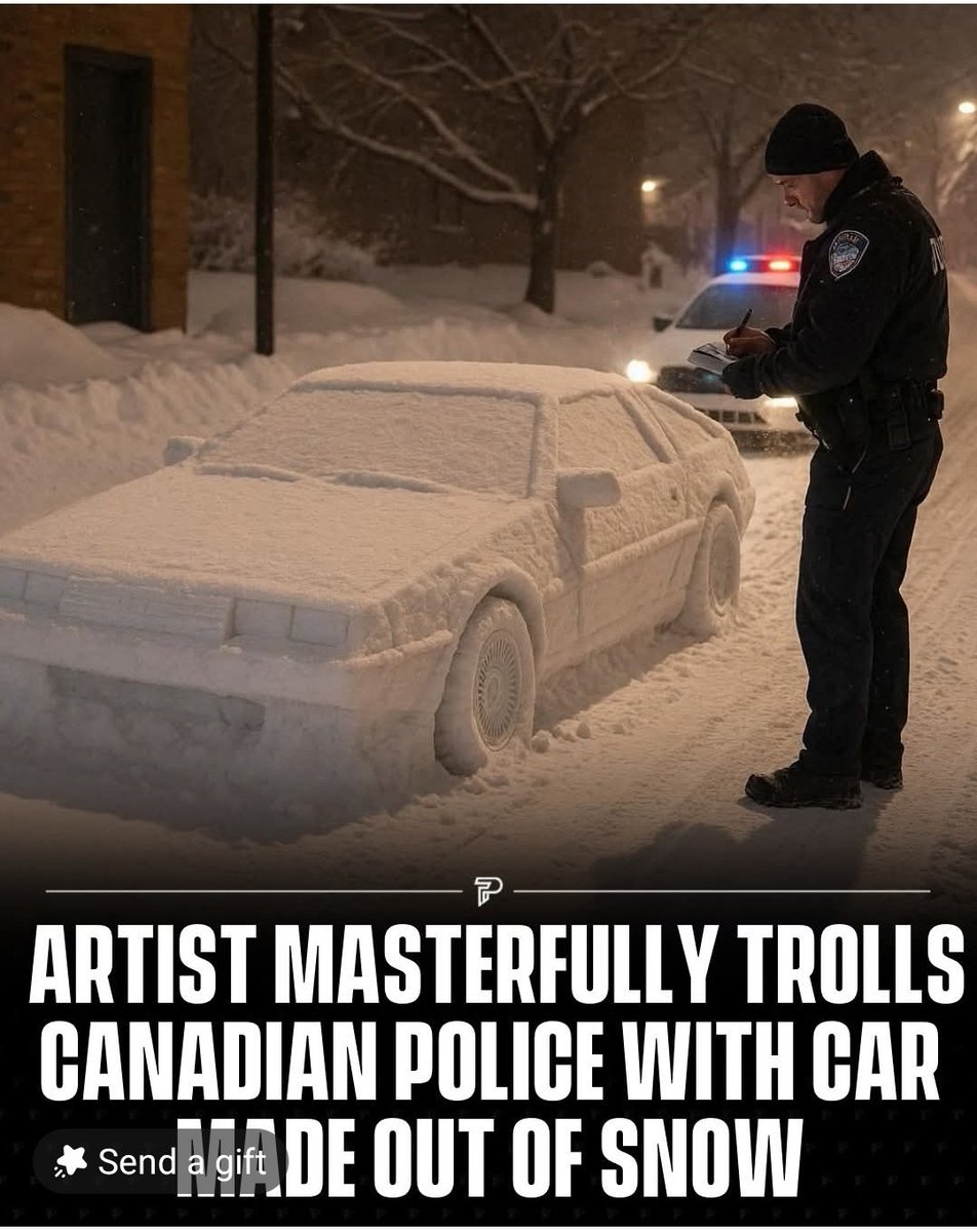 A local artist by the name of Simon Laprise carefully crafted this DeLorean out of snow, the icing on the cake was watching this officer trying to ticket it. Canadian 🇨🇦  humor at it's best..
