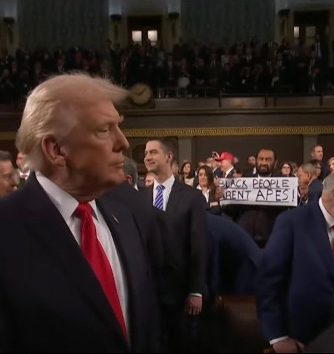 3Dtimeline's tweet image. In case y’all haven’t heard,

"BLACK PEOPLE RENT APES."

#AlGreen #apes