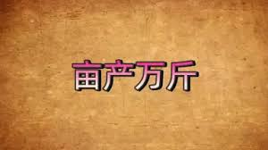 突然 想到 在 所有人 都在 造谣的年代，当时 他们在想什么？